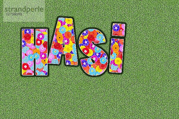Hasi  Kosewort für den Ehepartner  Partner  Kosenamen ausgeschrieben  farbenfroh  viele Blumen  sommerlich  Grafikdesign  Illustration  Hintergrund grün