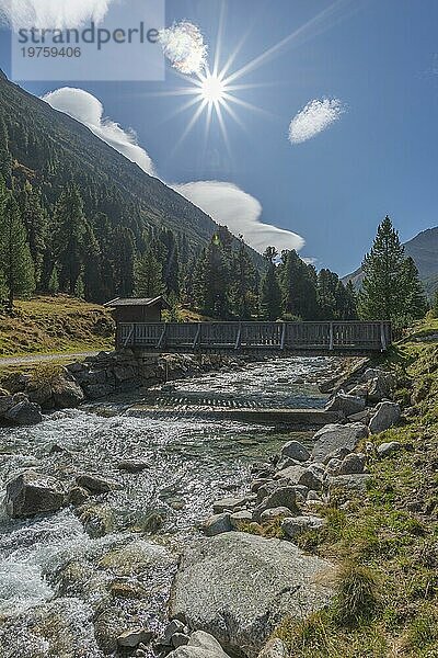 Holzbrücke über Zamser Bach im Tal Zamser Grund  Schlegeis  Wanderweg  Nadelwald  Felsen  Gegenlicht  blauer Himmel  Zillertaler Alpen  Tirol  Österreich  Europa