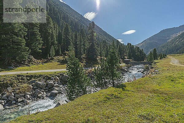 Holzbrücke über Zamser Bach im Tal Zamser Grund  Schlegeis  Wanderweg  Nadelwald  Felsen  Gegenlicht  blauer Himmel  Zillertaler Alpen  Tirol  Österreich  Europa