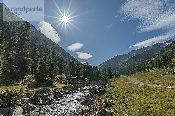 Holzbrücke über Zamser Bach im Tal Zamser Grund  Schlegeis  Wanderweg  Nadelwald  Felsen  Gegenlicht  blauer Himmel  Zillertaler Alpen  Tirol  Österreich  Europa