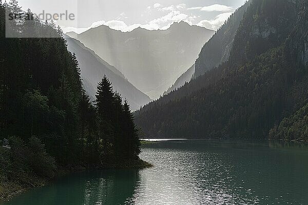 Stilluptal  Speicher Stiillup (1116m)  Stillupgrund  Mayrhofen  Speichersee  alpine Gebirgslandschaft  Nadelwald  Gegenlicht  Dunst  Zillertaler Alpen  Tirol  Österreich  Europa