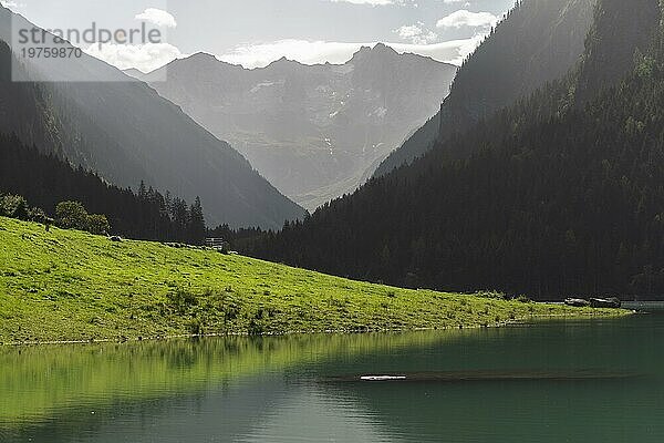 Stilluptal  Speicher Stiillup (1116m)  Stillupgrund  Mayrhofen  Speichersee  alpine Gebirgslandschaft  Nadelwald  Gegenlicht  Dunst  Zillertaler Alpen  Tirol  Österreich  Europa