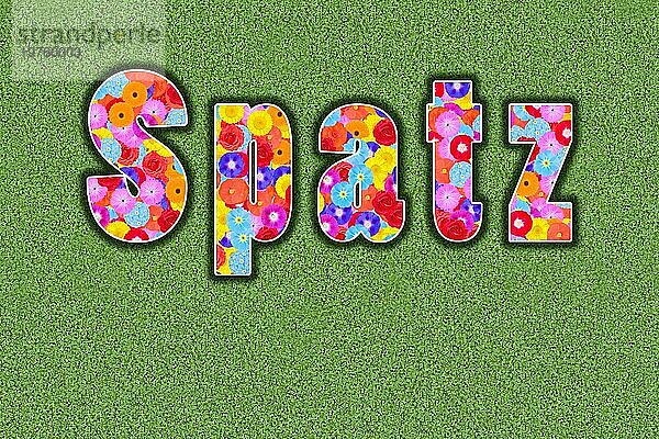 Spatz  Kosewort für den Ehepartner  Partner  Kosenamen ausgeschrieben  farbenfroh  viele Blumen  sommerlich  Grafikdesign  Illustration  Hintergrund grün