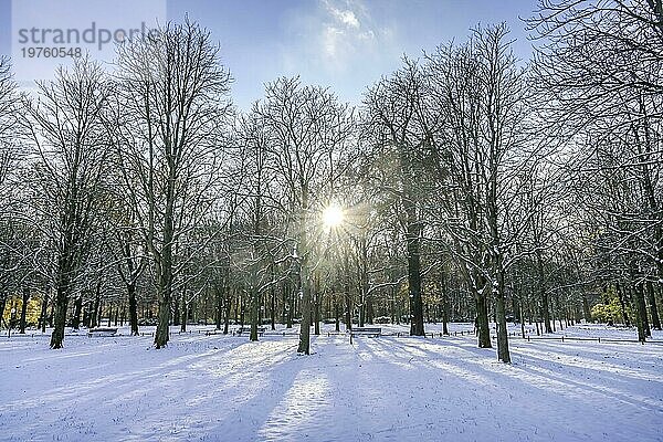 Winter  Schnee  Park  Großer Tiergarten  Tiergarten  Mitte  Berlin  Deutschland  Europa