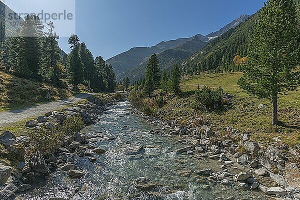 Zamser Bach im Tal Zamser Grund  Schlegeis  Wanderweg  Nadelwald  Felsen  Gegenlicht  blauer Himmel  Zillertaler Alpen  Tirol  Österreich  Europa