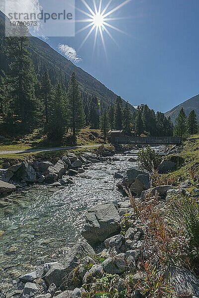 Holzbrücke über Zamser Bach im Tal Zamser Grund  Schlegeis  Wanderweg  Nadelwald  Felsen  Gegenlicht  blauer Himmel  Zillertaler Alpen  Tirol  Österreich  Europa