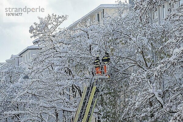 Feuerwehreinsatz im Winter  Gefahr durch Schneelast auf Bäumen  München