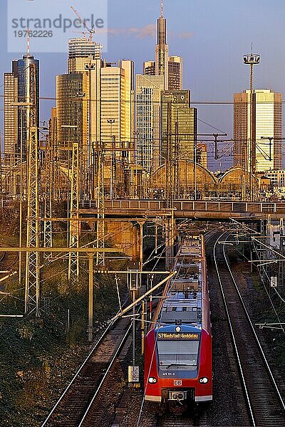 Erhöhte Stadtansicht im Abendlicht mit Nahverkehrszug  Hauptbahnhof und Hochhäusern  Frankfurt am Main  Hessen  Deutschland  Europa