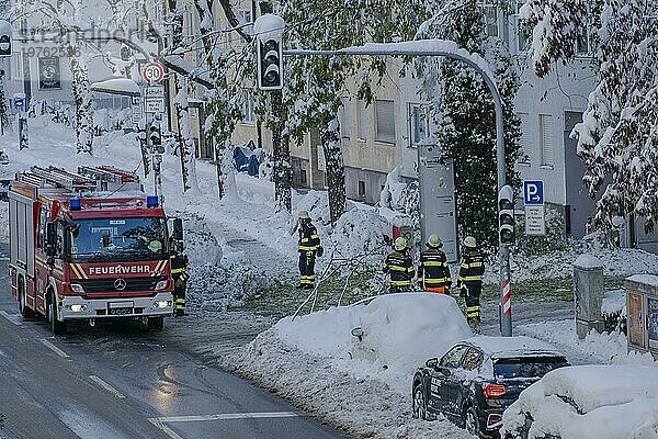 Feuerwehreinsatz im Winter  Gefahr durch Schneelast auf Bäumen  München