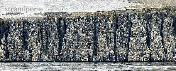 Alkefjellet  Seeklippe  die eine Seevogelkolonie von Dickschnabellummen (Uria lomvia) und Trottellummen bei Hinlopenstretet beherbergt  Svalbard  Norwegen  Europa