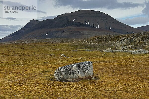 Berge entlang der Küste von Boltodden  Kvalvagen  Svalbard  Spitzbergen  Norwegen  Europa