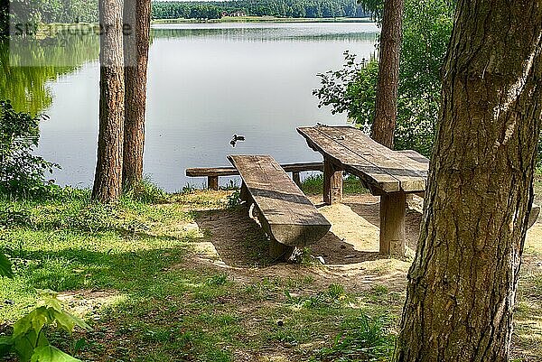 Rustikaler Holztisch und Bänke unter schattigen Bäumen am Ufer eines ruhigen Flusses oder Sees mit vorbeischwimmenden Wasservögeln und der Spiegelung des umliegenden Waldes auf dem Wasser