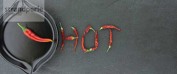 HOT spicy chili pepper still life mit Text aus getrockneten Schoten und einer frischen Chilischote in einer Pfanne in einem Panoramabanner über grau