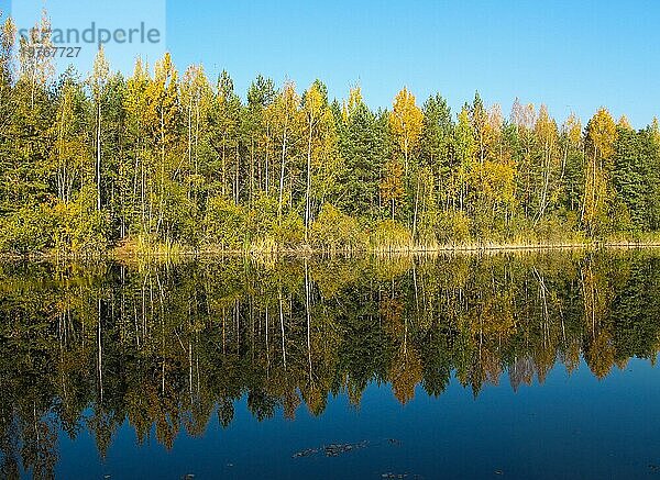 Herbst Wald mit einem schönen See in sonnigen Tag. Helle bunte Bäume spiegeln sich im ruhigen Wasser des Sees