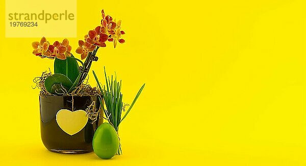 Ostern Dekoration mit Blumen  Ei förmige Kerze und Bündel von Weizen Sämlinge über einen gelben Hintergrund. Frohe Ostern Karte Konzept mit freier Kopie Platz für Text