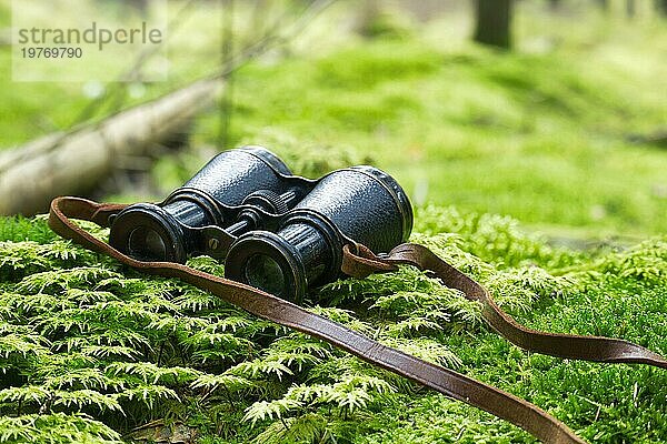 Vintage Fernglas aus Metall mit Lederriemen auf üppigem grünen Moos in einem Wald. Selektiver Fokus