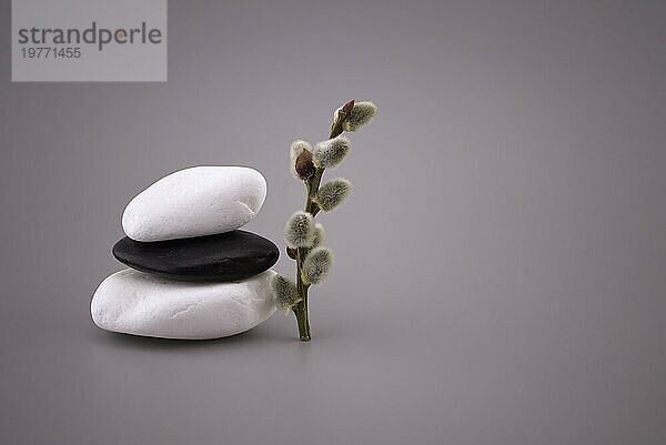 Stapel aus schwarzen und weißen Steinen und Kätzchenzweig  Zen Stillleben mit ruhigen Grautönen und Platz für Text