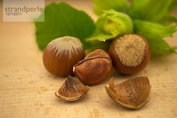 Frische rohe ungeschälte Haselnuss auf grünem Blatt in einer selektiven Fokusansicht auf einem Holztisch mit Kopierraum