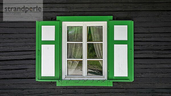 Altes antikes weißes Vintage Holzfenster mit grünem Umriss mit Fensterläden auf brauner Holzwand