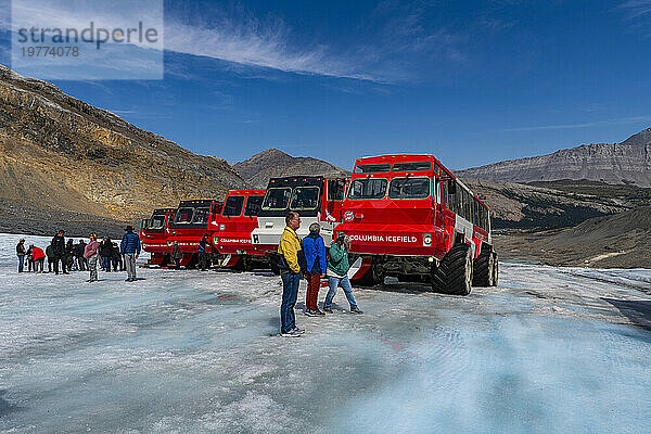 Spezialisierte Eisfeld-LKWs auf dem Columbia Icefield  Glacier Parkway  Alberta  Kanada  Nordamerika