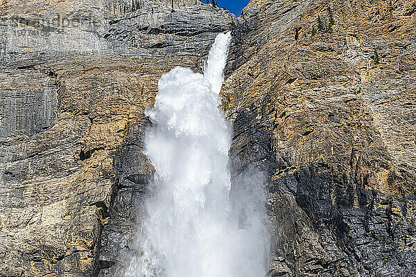 Takakkaw Falls  der zweithöchste Wasserfall Kanadas  Yoho-Nationalpark  UNESCO-Weltkulturerbe  British Columbia  Kanada  Nordamerika