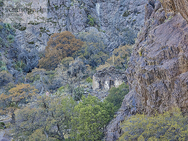 Verlassenes Gebäude aus dem späten 19. Jahrhundert vom Van Patten Mountain Camp  Dripping Springs Trail  Las Cruces  New Mexico  Vereinigte Staaten von Amerika  Nordamerika