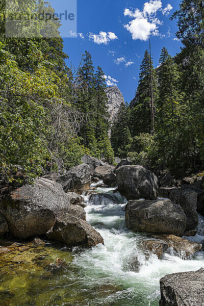 Merced River  Yosemite-Nationalpark  UNESCO-Weltkulturerbe  Kalifornien  Vereinigte Staaten von Amerika  Nordamerika