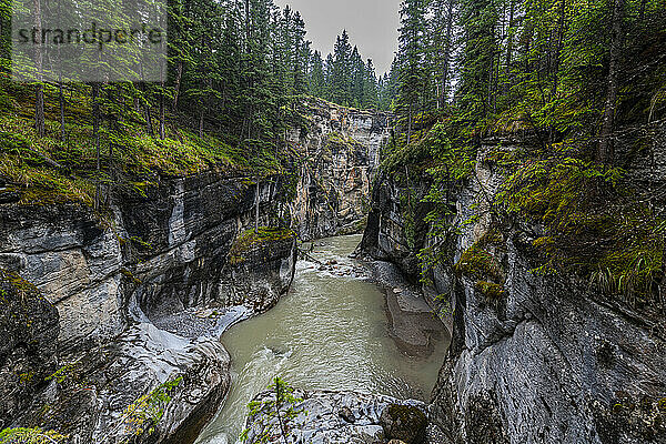 Maligne Canyon  Jasper Nationalpark  UNESCO-Weltkulturerbe  Alberta  Kanadische Rocky Mountains  Kanada  Nordamerika