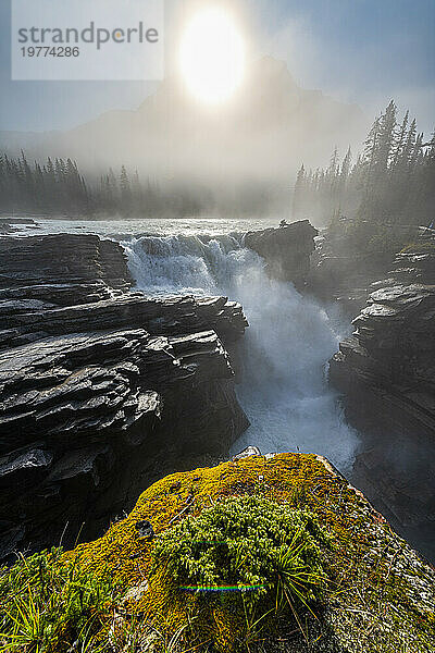 Athabasca Falls bei Sonnenaufgang  Glacier Parkway  Jasper Nationalpark  UNESCO-Weltkulturerbe  Alberta  Kanadische Rocky Mountains  Kanada  Nordamerika