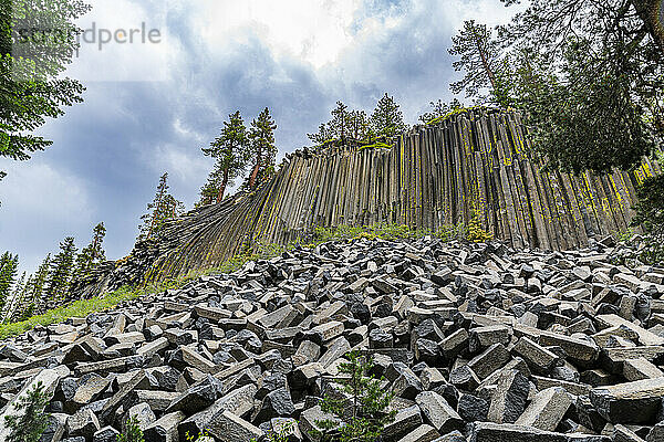 Felsformation aus säulenförmigem Basalt  Devils Postpile National Monument  Mammoth Mountain  Kalifornien  Vereinigte Staaten von Amerika  Nordamerika