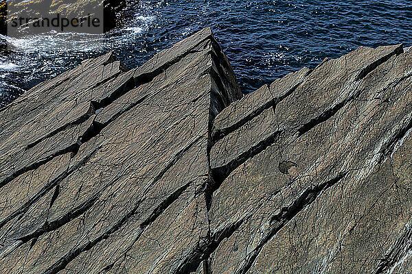 Präkambrische Fossilien  Mistaken Point  UNESCO-Weltkulturerbe  Halbinsel Avalon  Neufundland  Kanada  Nordamerika