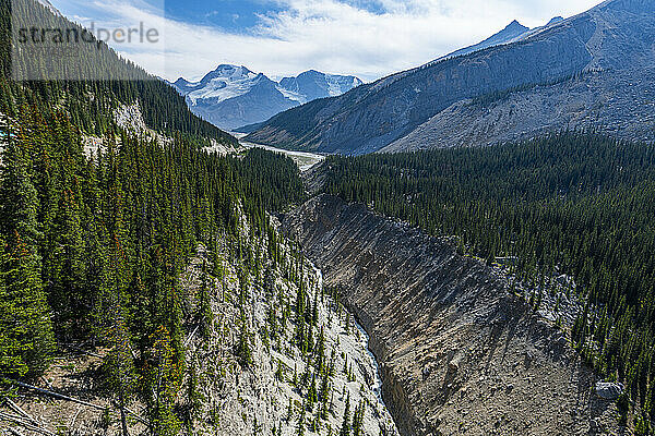 Blick ins Tal vom Columbia Icefield Skywalk  Glacier Parkway  Alberta  Kanada  Nordamerika