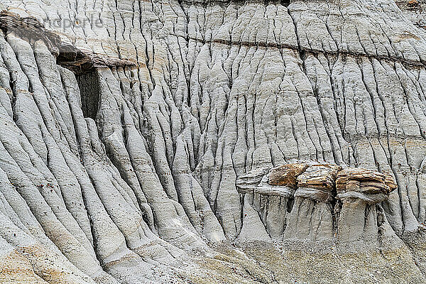 Erodierte Landschaft im Dinosaur Provincial Park  UNESCO-Weltkulturerbe  Alberta  Kanada  Nordamerika