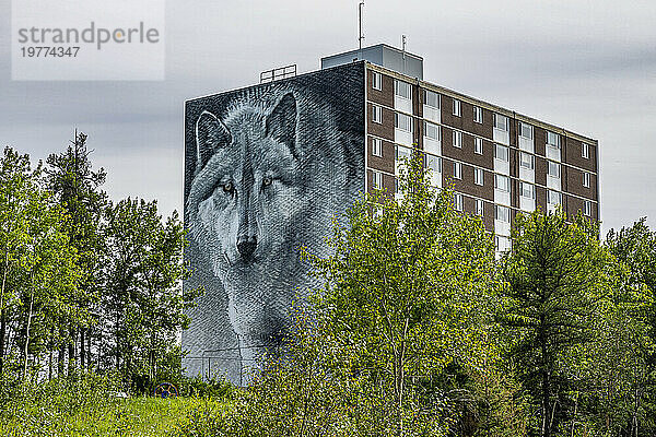 Wolfshausmalerei  Thompson  Manitoba  Kanada  Nordamerika