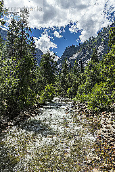 Merced River  Yosemite-Nationalpark  UNESCO-Weltkulturerbe  Kalifornien  Vereinigte Staaten von Amerika  Nordamerika