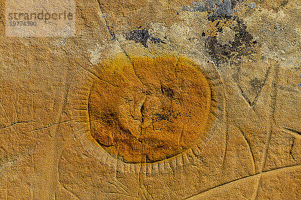 Indische Felszeichnungen  Writing-on-Stone Provincial Park  UNESCO-Weltkulturerbe  Alberta  Kanada  Nordamerika