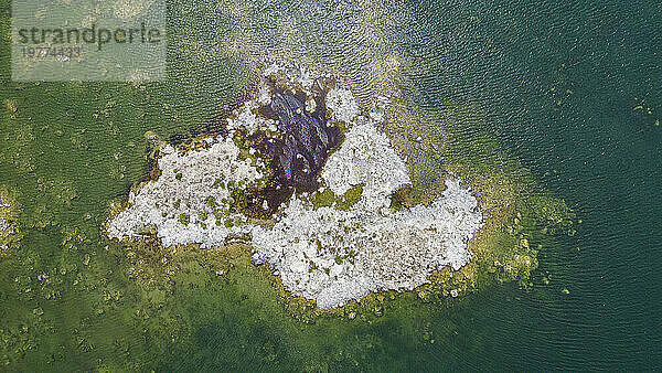 Aufschlüsse im Salzwassersee  Mono Lake  Kalifornien  Vereinigte Staaten von Amerika  Nordamerika