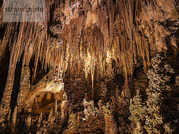 Im Big Room im Carlsbad Caverns National Park  UNESCO-Weltkulturerbe  in den Guadalupe Mountains  New Mexico  Vereinigte Staaten von Amerika  Nordamerika