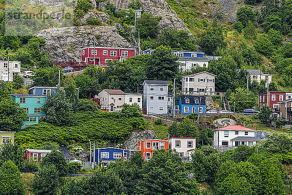 Bunte Häuser  St. John's  Neufundland  Kanada  Nordamerika