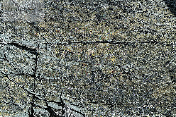 Präkambrische Fossilien  Mistaken Point  UNESCO-Weltkulturerbe  Halbinsel Avalon  Neufundland  Kanada  Nordamerika