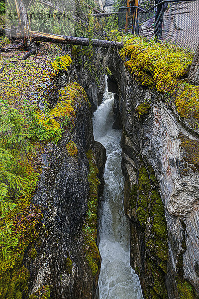 Maligne Canyon  Jasper Nationalpark  UNESCO-Weltkulturerbe  Alberta  Kanadische Rocky Mountains  Kanada  Nordamerika