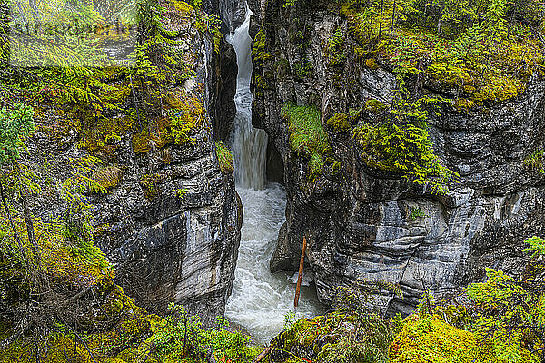 Maligne Canyon  Jasper Nationalpark  UNESCO-Weltkulturerbe  Alberta  Kanadische Rocky Mountains  Kanada  Nordamerika