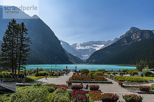 Beautiful garden by Lake Louise  Banff National Park  UNESCO World Heritage Site  Alberta  Rocky Mountains  Canada  North America