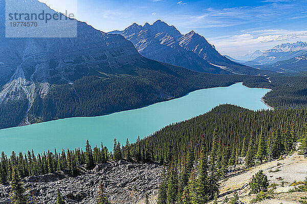 Türkisfarbener Peyto Lake  Glacier Parkway  Banff-Nationalpark  UNESCO-Weltkulturerbe  Alberta  Kanadische Rocky Mountains  Kanada  Nordamerika