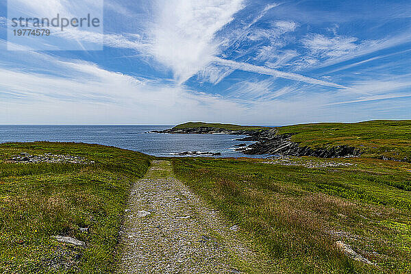 Weg zum Mistaken Point  UNESCO-Weltkulturerbe  Halbinsel Avalon  Neufundland  Kanada  Nordamerika