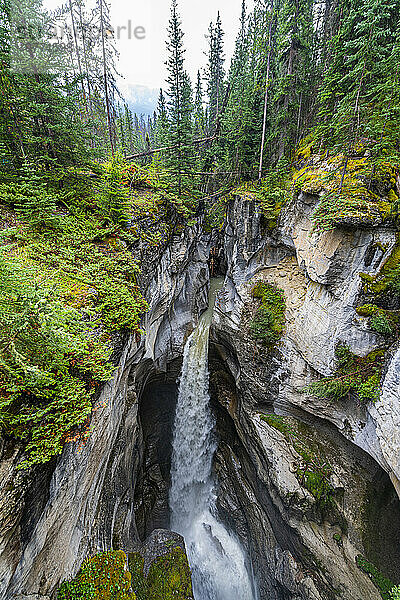 Maligne Canyon  Jasper Nationalpark  UNESCO-Weltkulturerbe  Alberta  Kanadische Rocky Mountains  Kanada  Nordamerika