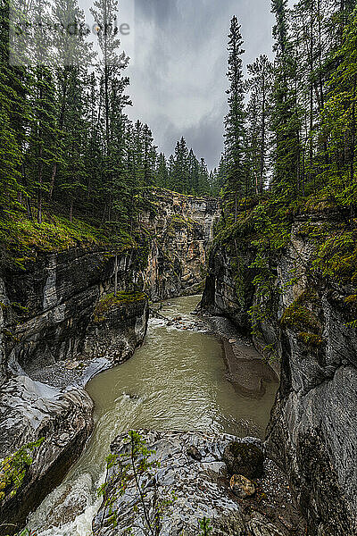 Maligne Canyon  Jasper Nationalpark  UNESCO-Weltkulturerbe  Alberta  Kanadische Rocky Mountains  Kanada  Nordamerika