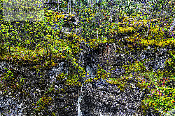 Maligne Canyon  Jasper Nationalpark  UNESCO-Weltkulturerbe  Alberta  Kanadische Rocky Mountains  Kanada  Nordamerika