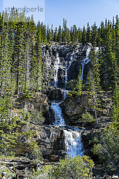 Wasserfall entlang des Glacier Parkway  Alberta  Kanada  Nordamerika