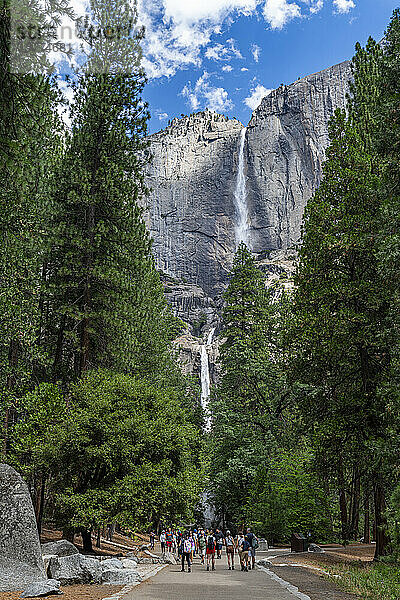 Yosemite Falls  höchster Wasserfall  Yosemite-Nationalpark  UNESCO-Weltkulturerbe  Kalifornien  Vereinigte Staaten von Amerika  Nordamerika